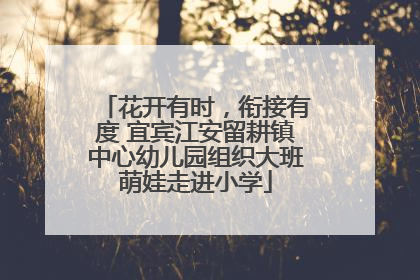 花开有时，衔接有度 宜宾江安留耕镇中心幼儿园组织大班萌娃走进小学