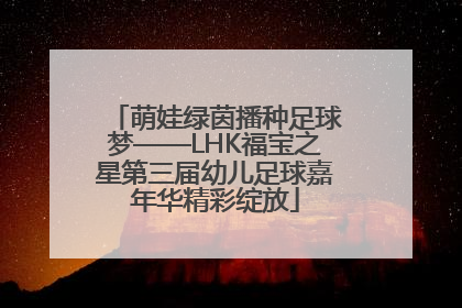 萌娃绿茵播种足球梦——LHK福宝之星第三届幼儿足球嘉年华精彩绽放