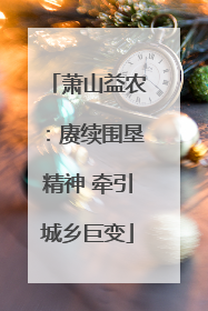 萧山益农：赓续围垦精神 牵引城乡巨变