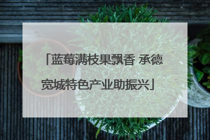蓝莓满枝果飘香 承德宽城特色产业助振兴