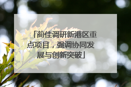 蔺佳调研新港区重点项目，强调协同发展与创新突破