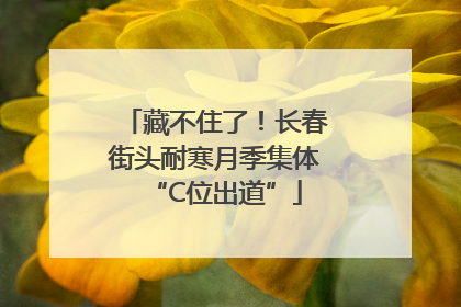 藏不住了！长春街头耐寒月季集体“C位出道”