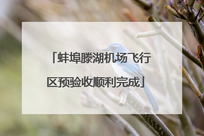 蚌埠滕湖机场飞行区预验收顺利完成