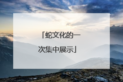 蛇文化的一次集中展示