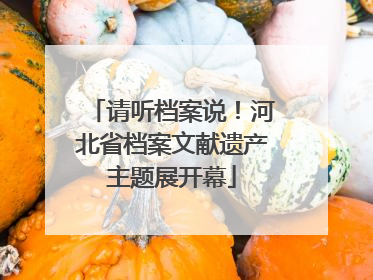 请听档案说！河北省档案文献遗产主题展开幕
