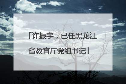 许振宇，已任黑龙江省教育厅党组书记