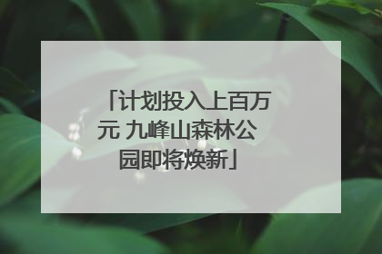 计划投入上百万元 九峰山森林公园即将焕新