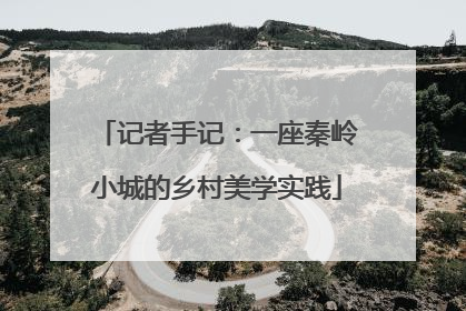记者手记：一座秦岭小城的乡村美学实践