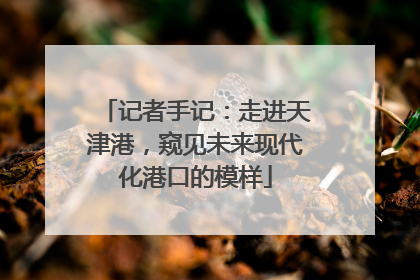 记者手记：走进天津港，窥见未来现代化港口的模样