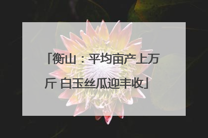 衡山：平均亩产上万斤 白玉丝瓜迎丰收