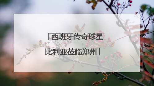 西班牙传奇球星 比利亚莅临郑州