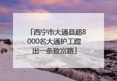 西宁市大通县超8000名大通护工蹚出一条致富路