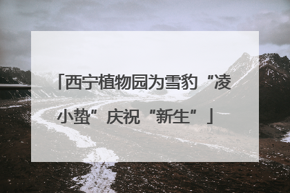西宁植物园为雪豹“凌小蛰”庆祝“新生”