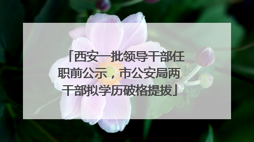 西安一批领导干部任职前公示，市公安局两干部拟学历破格提拔