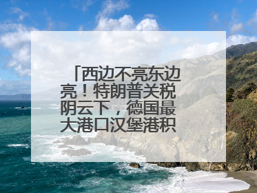 西边不亮东边亮！特朗普关税阴云下，德国最大港口汉堡港积极“向东看”