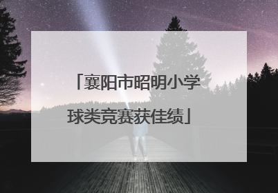 襄阳市昭明小学球类竞赛获佳绩