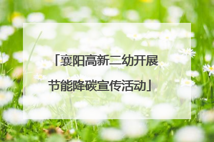 襄阳高新二幼开展节能降碳宣传活动