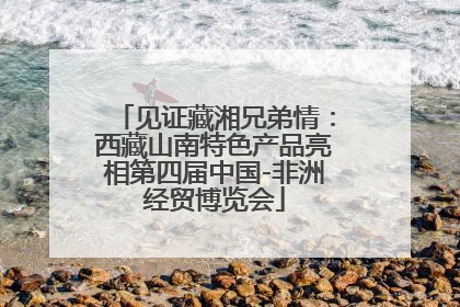 见证藏湘兄弟情：西藏山南特色产品亮相第四届中国-非洲经贸博览会