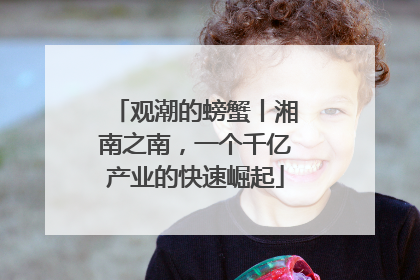 观潮的螃蟹丨湘南之南，一个千亿产业的快速崛起