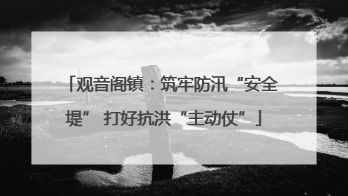 观音阁镇：筑牢防汛“安全堤” 打好抗洪“主动仗”