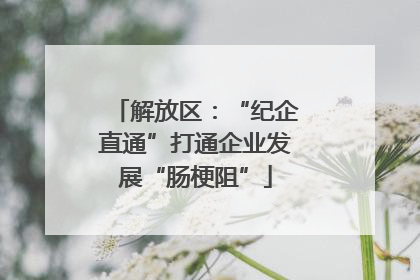 解放区：“纪企直通”打通企业发展“肠梗阻”