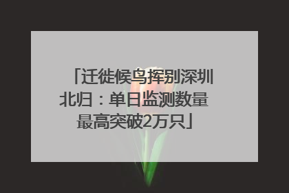 迁徙候鸟挥别深圳北归：单日监测数量最高突破2万只