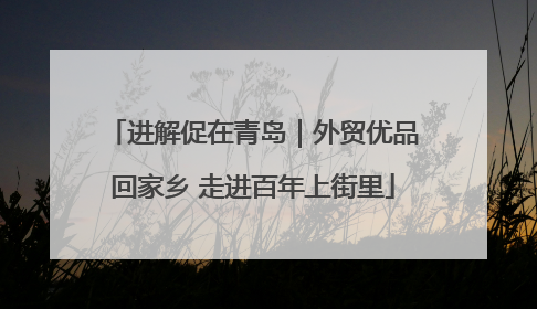 进解促在青岛｜外贸优品回家乡 走进百年上街里