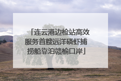 连云港边检站高效服务首艘远洋磷虾捕捞船靠泊赣榆口岸