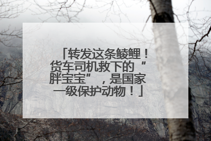 转发这条鲮鲤！货车司机救下的“胖宝宝”，是国家一级保护动物！