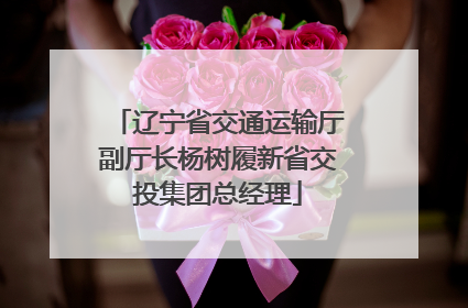 辽宁省交通运输厅副厅长杨树履新省交投集团总经理