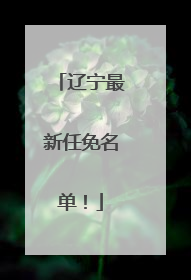 辽宁最新任免名单！