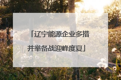辽宁能源企业多措并举备战迎峰度夏