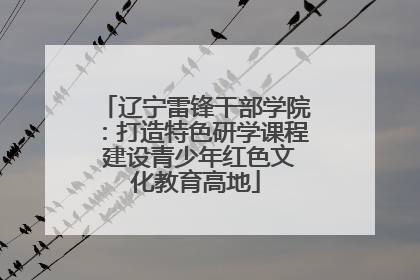 辽宁雷锋干部学院：打造特色研学课程 建设青少年红色文化教育高地