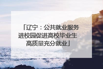 辽宁：公共就业服务进校园促进高校毕业生高质量充分就业