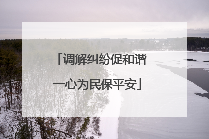 调解纠纷促和谐 一心为民保平安