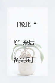 豫北“飞”来后备尖兵