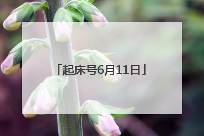 起床号6月11日