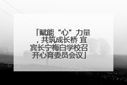 赋能“心”力量，共筑成长桥 宜宾长宁梅白学校召开心育委员会议