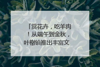 赏花卉，吃羊肉！从端午到金秋，叶榭镇推出丰富文旅活动邀您爽玩