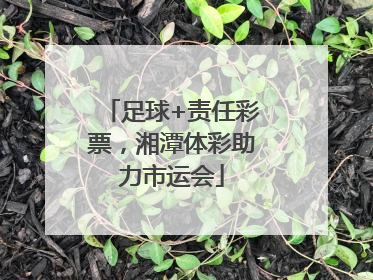 足球+责任彩票，湘潭体彩助力市运会
