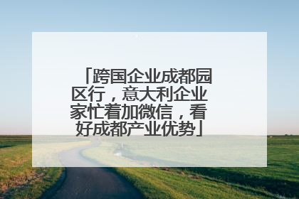 跨国企业成都园区行，意大利企业家忙着加微信，看好成都产业优势