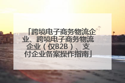 跨境电子商务物流企业、跨境电子商务物流企业（仅B2B）、支付企业备案操作指南