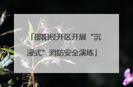 邵阳经开区开展“沉浸式”消防安全演练