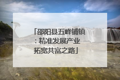 邵阳县五峰铺镇：精准发展产业 拓宽共富之路