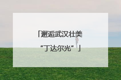 邂逅武汉壮美“丁达尔光”