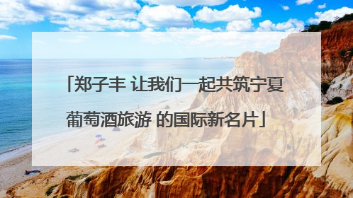 郑子丰 让我们一起共筑宁夏葡萄酒旅游 的国际新名片