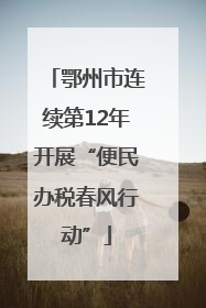 鄂州市连续第12年开展“便民办税春风行动”