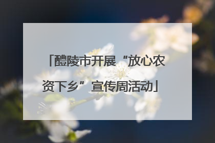 醴陵市开展“放心农资下乡”宣传周活动