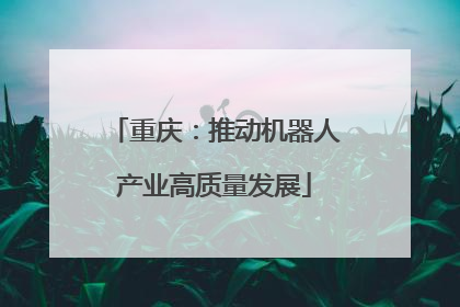 重庆：推动机器人产业高质量发展