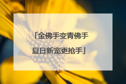 金佛手变青佛手 夏日新宠更抢手
